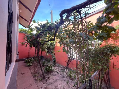 a garden with a bunch of plants next to a building at Casa Amigable y Confortable in Yacuiba