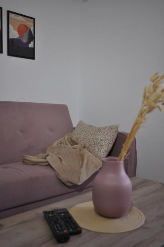 Ruang duduk di Apartmani Žabljak Hills