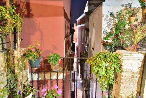Foto Casa Tenorio Barrio de Santa Cruz 5