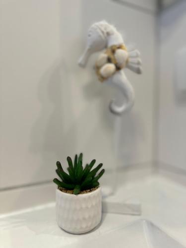 a toy teddy bear is running next to a plant at Domki Złote Piaski Kryty Basen Sauna Jacuzzi in Jastrzębia Góra
