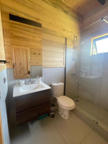 uma casa de banho com um lavatório, um WC e um chuveiro em Cabaña Negra em Riñinahue