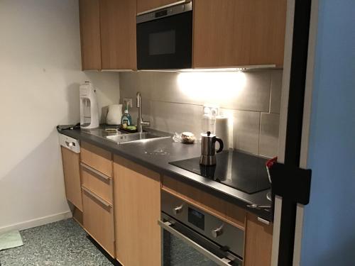 une petite cuisine avec un évier et un micro-ondes dans l'établissement Lovely flat on the seine river, à Paris