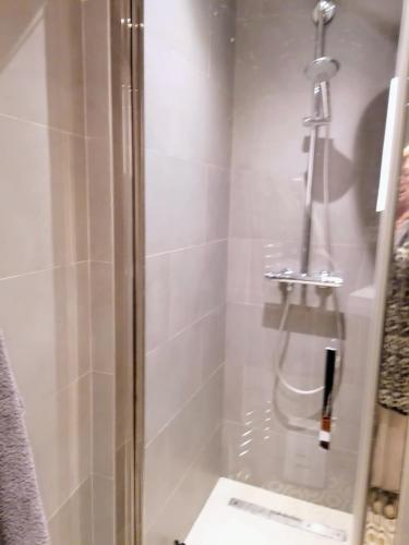 une douche avec une porte vitrée dans une salle de bain dans l'établissement Lovely flat on the seine river, à Paris