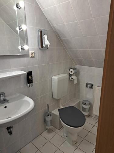 a small bathroom with a toilet and a sink at Pension 5 Ferienhof Hanstorf in Satow