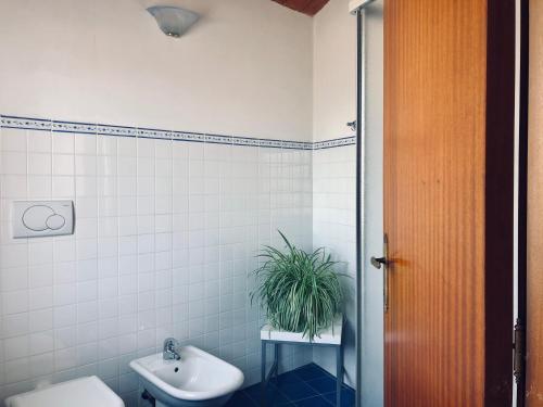 法布里亞諾的住宿－Agriturismo Castelvecchio, Case Vacanza a Fabriano，一间带卫生间和桌子上植物的浴室