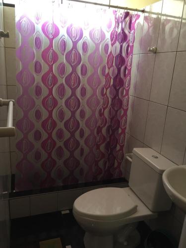 a bathroom with a toilet and a shower curtain at Hotel El Molle in Lunahuaná