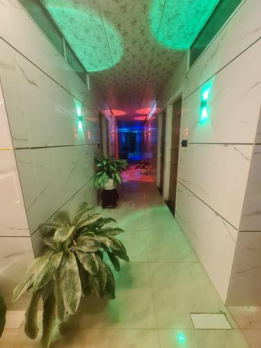 a hallway with a plant in a building with lights at Taj lodge in Belgaum