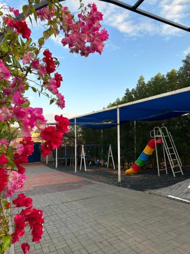 a park with a playground with a rainbow swing at استراحة الخيالة in Falaj al Mu‘allá