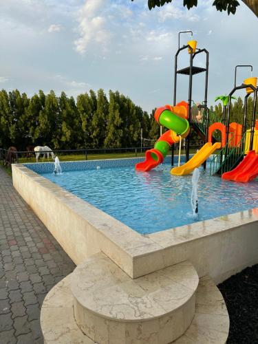 a playground with a water slide in a pool at استراحة الخيالة in Falaj al Mu‘allá
