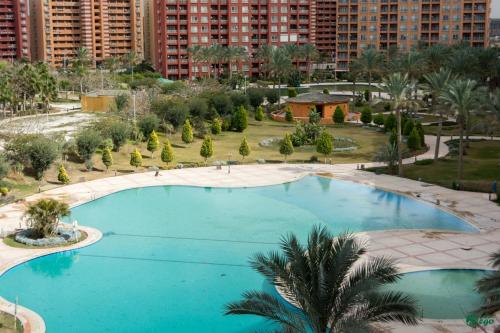亞歷山大的住宿－Two-Bed Room chalet，享有棕榈树和建筑的大型游泳池的顶部景致