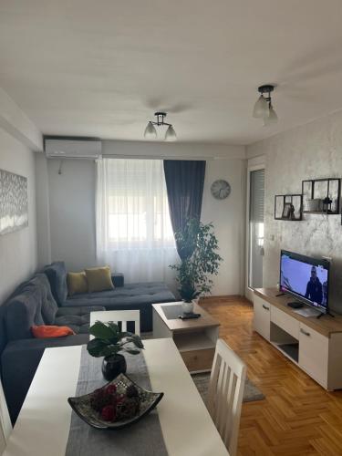 Μια τηλεόραση ή/και κέντρο ψυχαγωγίας στο Apartman Mina Niš