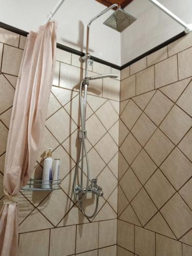 y baño con ducha y pared de azulejos. en Elaias Gea -Kalampaka, en Kalambaka