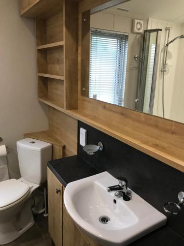 a bathroom with a sink and a toilet and a mirror at 8 BIRTH LODGE ON CAYTON BAY HOLIDAY PARK in Scarborough