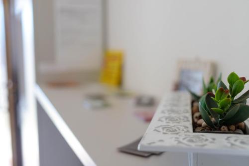 a plant sitting on a counter next to a laptop at Il tramonte in Vinchiaturo