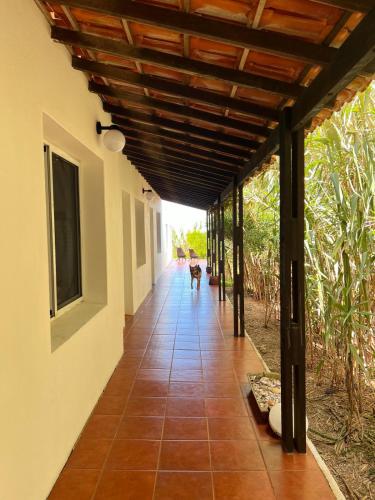 a hallway of a house with a dog walking down it at Guesthouse Entre Campo y Mar in La Coronilla