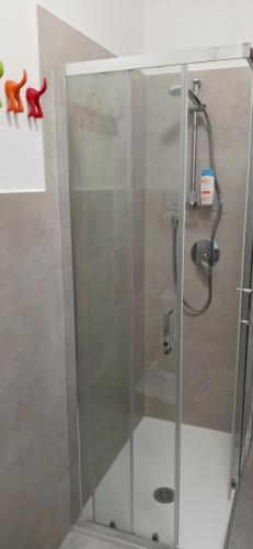 een douche met een glazen deur in de badkamer bij CASA SERENA PARMA in Parma