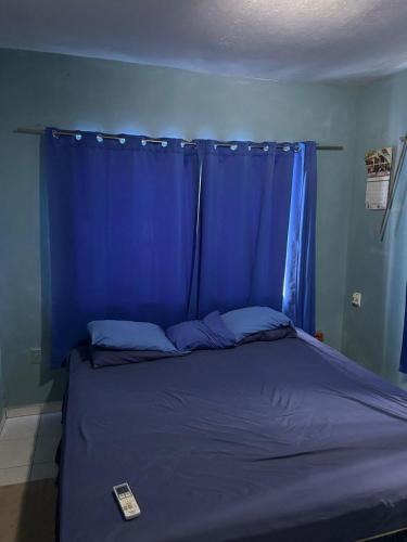 ein blaues Schlafzimmer mit einem Bett mit einem blauen Vorhang in der Unterkunft Casa Fransina in Blue Bay