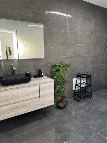 a bathroom with a sink and a potted plant at Alojamento Gândara in Praia de Mira