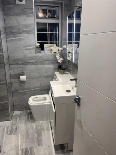 a bathroom with a toilet and a sink at HayesandHeathrow in Hayes