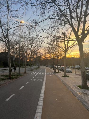 an empty street with trees on the side of the road at Habitación en Madrid in Madrid