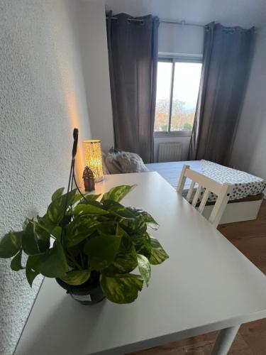 une table blanche avec une plante en pot sur elle dans l'établissement Habitación en Madrid, à Madrid