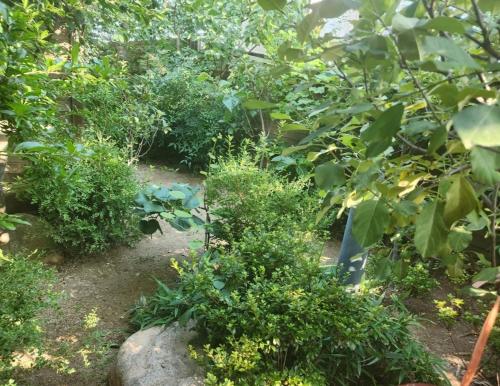 a garden with green plants and a rock at Renaissance Hotel Pohang in Pohang