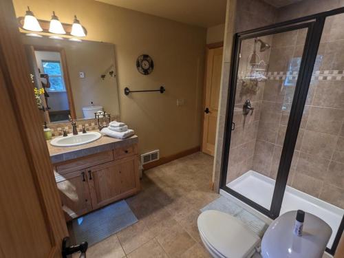 a bathroom with a shower and a toilet and a sink at Hanging Rock Get Away in Bigfork