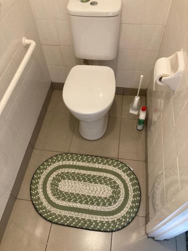 a bathroom with a toilet and a green and white rug at Herbert Cottage in Tumut