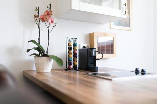 um balcão de cozinha com uma cafeteira e uma planta em M&A Apartments em Zadar