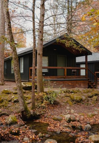 a house with a porch in the woods at Roamstead Smoky Mountains in Cosby