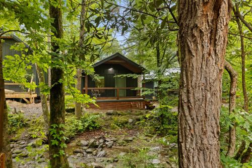 a cabin in the woods with trees at Roamstead Smoky Mountains in Cosby