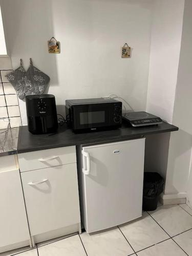 un micro-ondes posé sur un comptoir dans une cuisine dans l'établissement Joli Appartement centre Nevers, à Nevers