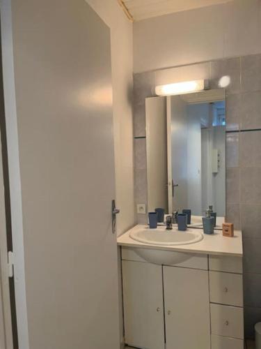 une salle de bain avec un lavabo et un miroir dans l'établissement Joli Appartement centre Nevers, à Nevers