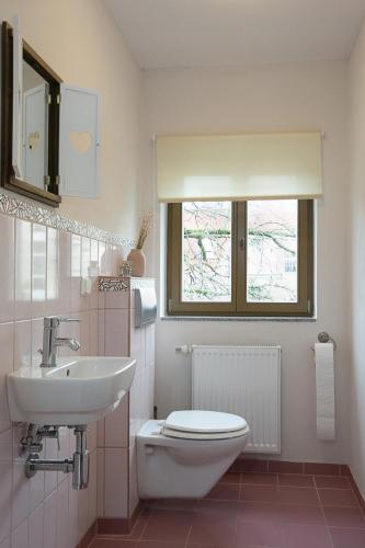 a bathroom with a toilet and a sink and a window at Avancers - homelike living in Cottbus