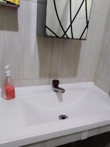 a white sink with a bottle of soap and a mirror at Casa Maria Rosa in Blumenau