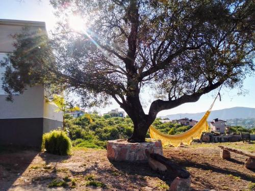 un albero in un cortile con un'amaca sotto di ALTOS DEL MOLLE en VCP predio con solo 2 cabañas a Villa Carlos Paz