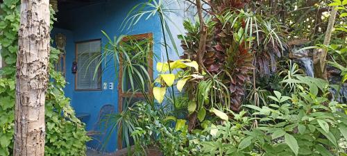 a blue house with a blue door and some plants at Casa Furtacor in João Pessoa