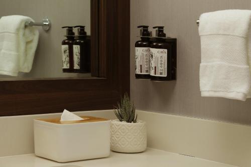 a bathroom with a plant and a mirror and towels at voco Saltillo Suites by IHG in Saltillo