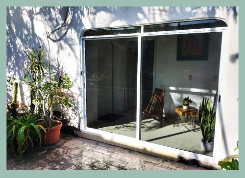 a sliding glass door of a patio with plants at Casa del Pintor Chetumal in Chetumal