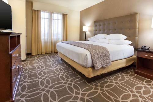 Cette chambre comprend un lit et une télévision à écran plat. dans l'établissement Drury Inn & Suites Louisville North, à Louisville