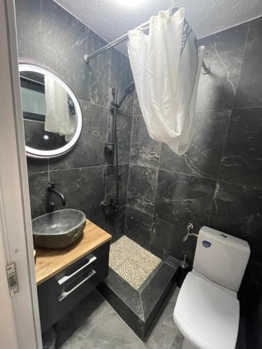 a bathroom with a sink and a toilet and a mirror at Vikendica u prirodi na ranču in Zolaći