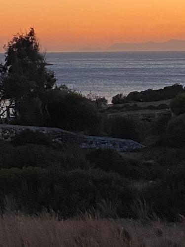 a sunset over the ocean with a tree in the foreground at House by the beach,next to village,sunset view in Finikas