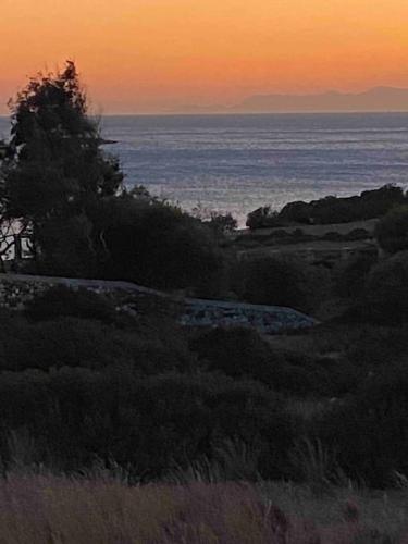 a sunset over the ocean with a tree in the foreground at House by the beach,next to village,sunset view in Finikas