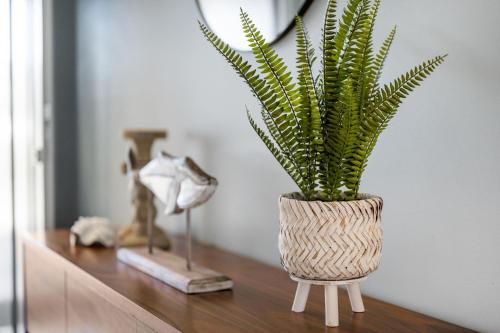 a plant in a vase sitting on a table at Jervis Bay Sanctuary by Experience Jervis Bay in Vincentia