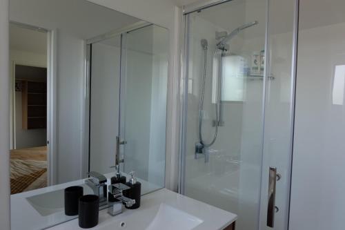 ein Badezimmer mit einem weißen Waschbecken und einer Dusche in der Unterkunft Tranquil Bamboo Oasis in Christchurch