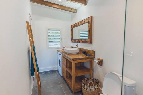 聖安妮的住宿－Cap Sud Bungalow du bourg près de la mer，一间带水槽、镜子和卫生间的浴室
