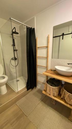 a bathroom with a sink and a shower and a toilet at T1 luxe à 2 minutes de la plage in Les Trois-Îlets