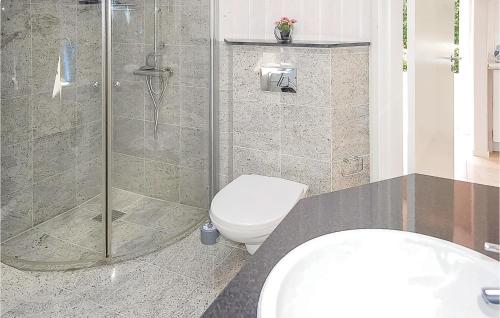 W łazience znajduje się prysznic, toaleta i umywalka. w obiekcie Cozy Home In Haderslev With Sauna w mieście Flovt