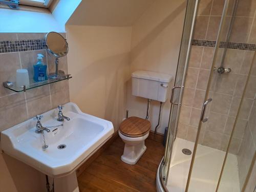 a bathroom with a toilet and a sink and a shower at Orchard Cottage in Bradley in the Moors
