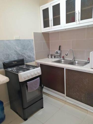 una pequeña cocina con fogones y fregadero en SDQ Apartamento Marbella 1-2, en La Ureña